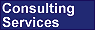 Consulting Services